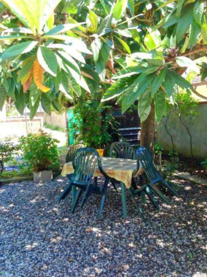 Eco B&B I Due Oleandri Marina Di Carrara Eksteriør bilde